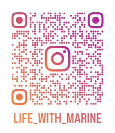 Instagram QR